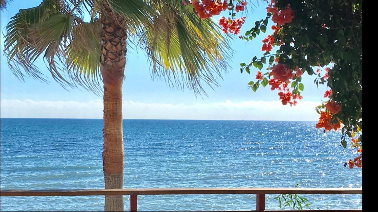 Mi Capricho 3-5 Beachfront- Apartment With Sea Views In Costa Del Sol Sitio de Calahonda Exteriér fotografie